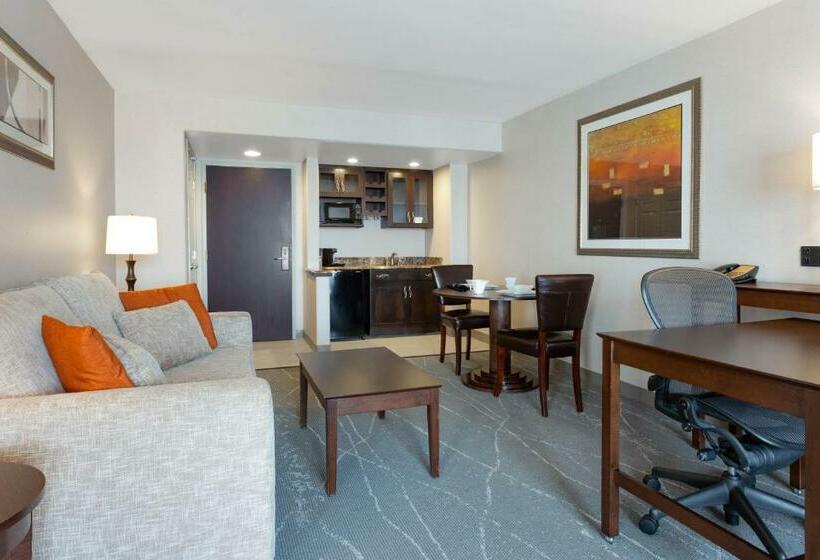 Люкс Кровать Кинг, Wingate By Wyndham Tinley Park