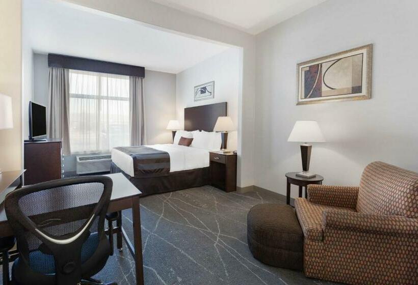 Стандартный Номер Кровать Кинг, Wingate By Wyndham Tinley Park