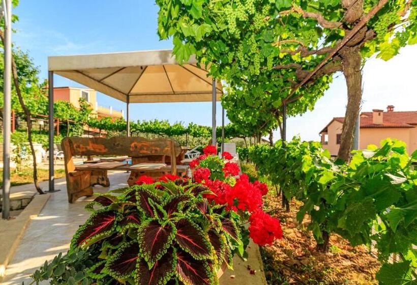 آپارتمان 1 خوابه, Apartments Slavko