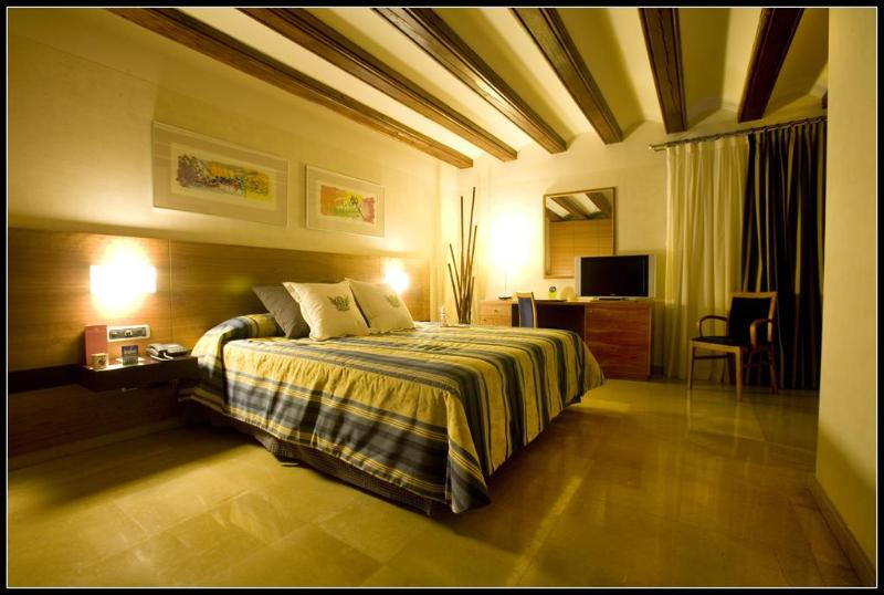 スタンダードシングルルーム, Sercotel Palacio De Tudemir