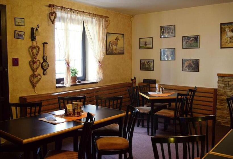 اتاق استاندارد, Penzion A Restaurace Na Jízdárně
