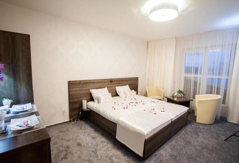 スタンダードルーム, Penzion Olomouc