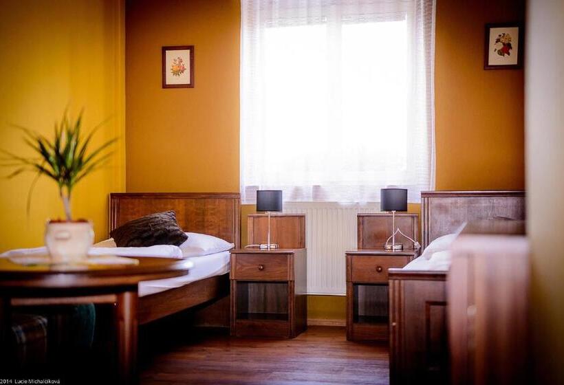 اتاق استاندارد, Penzion Pod Kašnou