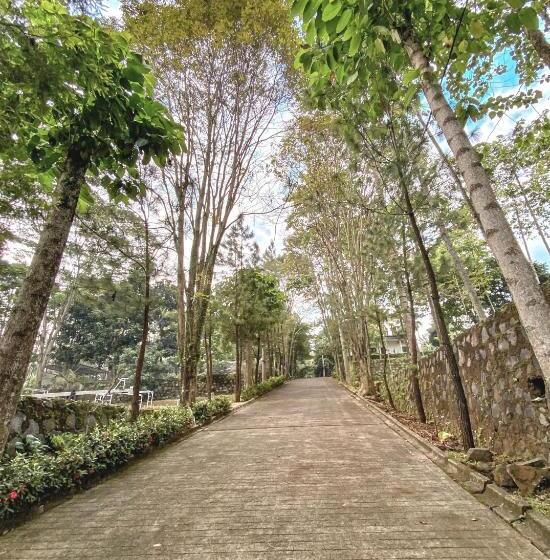 Номер Стандарт, New Green Sentul Resort