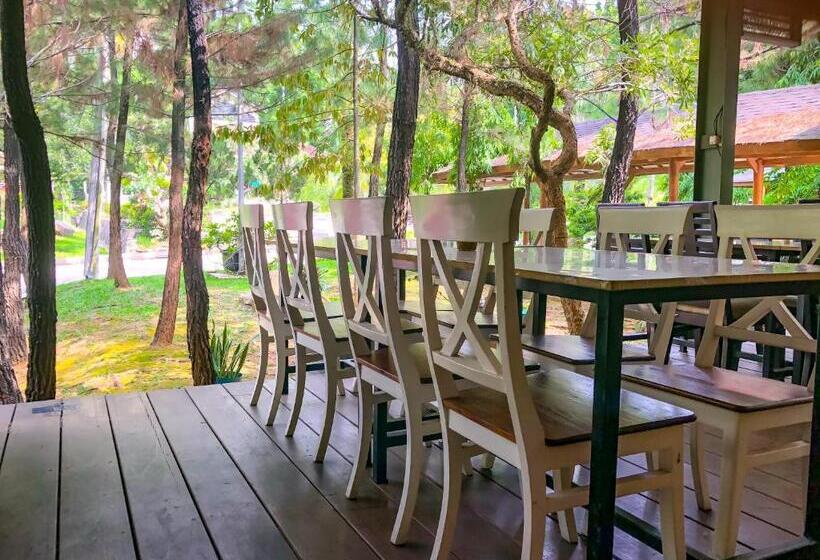 Вилла 4 Спальни, New Green Sentul Resort