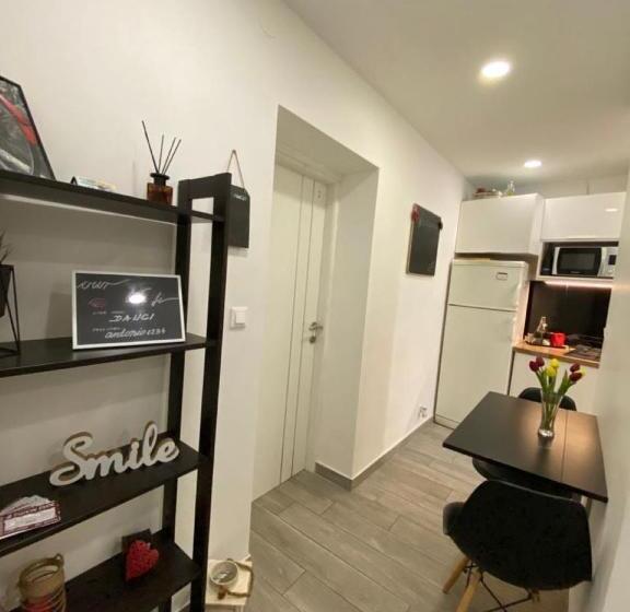 اتاق استاندارد با سرویس بهداشتی مشترک, Guesthause Antonio