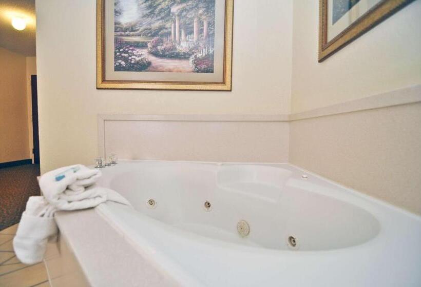 Стандартный Номер Кровать Кинг, Best Western Gardendale