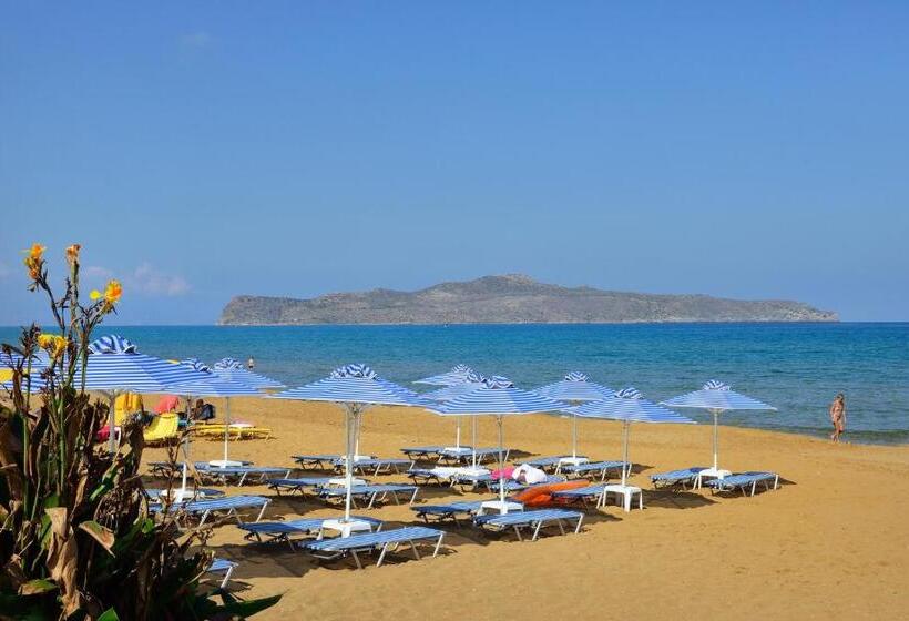إستوديو قياسى مطل على البحر, Nektar Beach