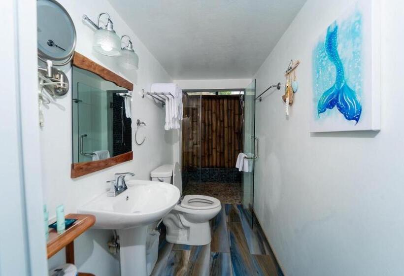 اتاق استاندارد با چشم‌انداز باغ, Blue Skies Beach Resort