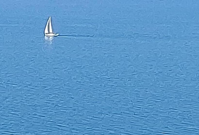 استودیوی استاندارد با چشم‌انداز دریا, Pure Wellness Sea View Beluga & Dolphin Luxury Hotel Apartments