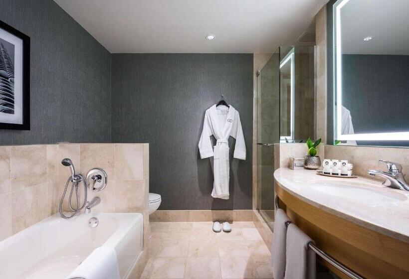 סוויטת ג'וניור מותאמת לאדם עם מוגבלויות, Sofitel Chicago Magnificent Mile
