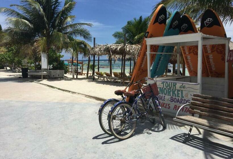 スタンダードルーム, Blue Reef Frente Al Mar