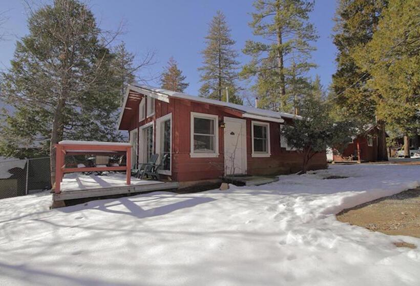 디럭스 방갈로, Silver Pines Lodge