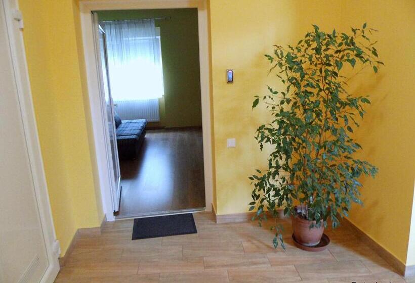 Апартаменты 1 Спальня, Eszter Apartman