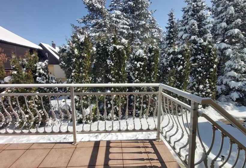 استودیوی استاندارد, Guesthouse Dabić
