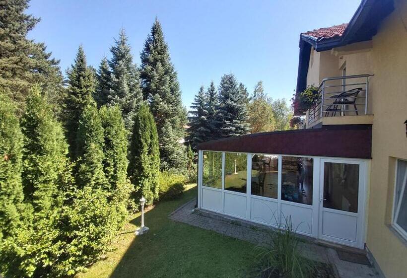 آپارتمان 1 خوابه با چشم‌انداز باغ, Guesthouse Dabić