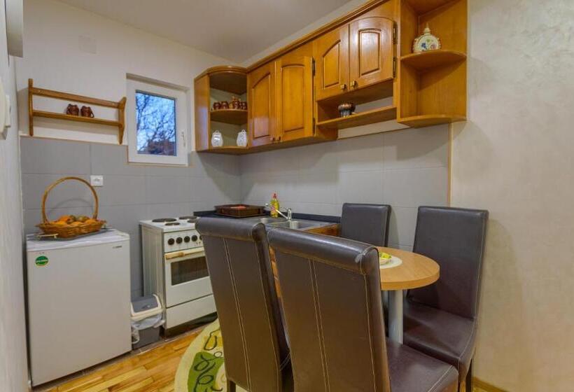 آپارتمان 1 خوابه با تراس, Guesthouse Dabić