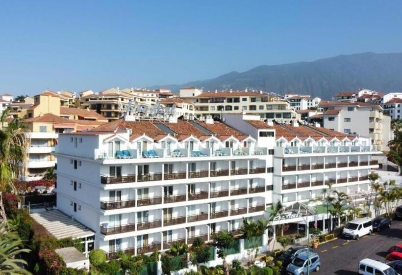 Студия Стандарт, Apartamentos Pez Azul