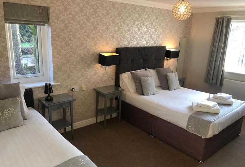 Семейный Номер, Burton Lodge Guest House & Spa