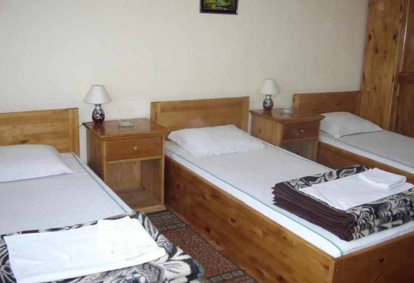 Номер Стандарт Трехместный, Family Hotel May