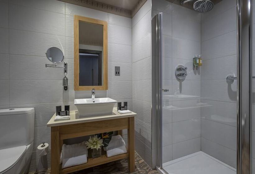 اتاق لوکس, Boyne Valley Hotel   Bed & Breakfast Only