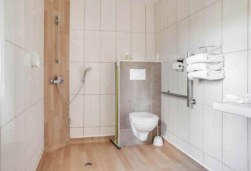 اتاق استاندارد برای معلولان, Hôtel Valence Sud