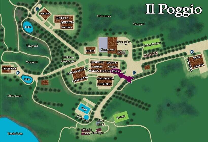 Апартаменты 1 Спальня Нижний Этаж, Borgo Il Poggio Agritourismo
