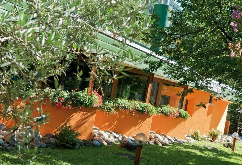 Номер Стандарт, Carnia