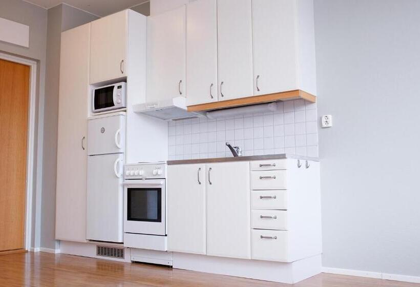 Студия Стандарт, Strandnäs Hotell