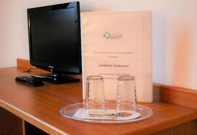 Номер Стандарт, Waldhotel Feldbachtal