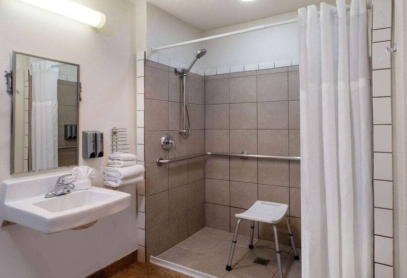 Номер Стандарт Кровать Кинг Адаптированный для Инвалидов, Microtel Inn & Suites By Wyndham Salt Lake City Airport