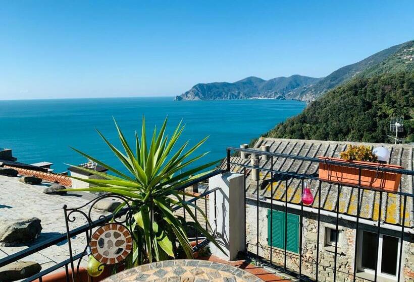 Номер Economy, Corniglia Dreams