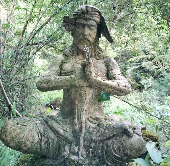 Номер Стандарт Вид на Сад, D Kailash Retreat