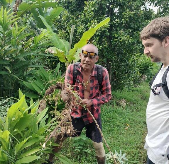 Номер Economy, D Kailash Retreat