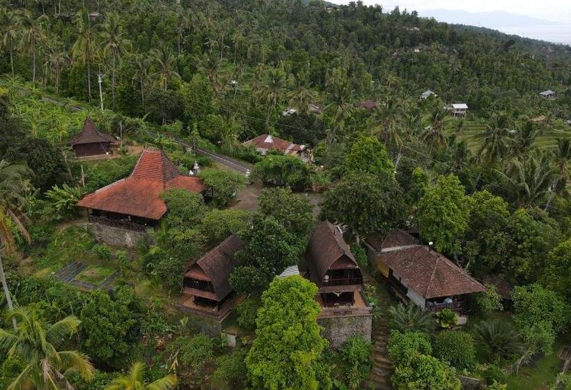 Номер Стандарт с Балконом, D Kailash Retreat