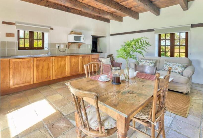 Номер Стандарт, Strandveld Vineyards Cottages