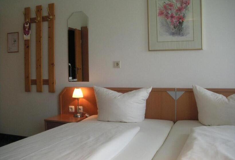 Quarto Estandar, Akzent Hotel Schranne