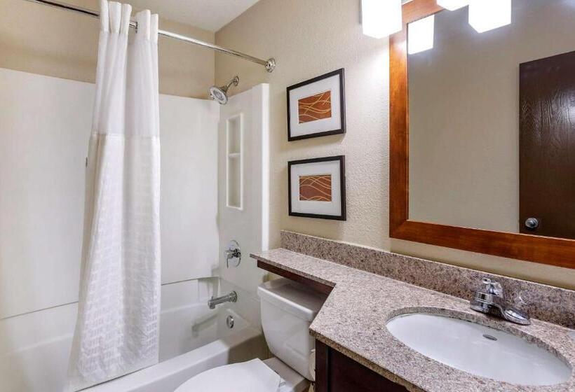 Suite, Comfort Inn Nashville West