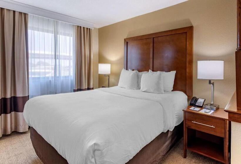Sviitti, Comfort Inn Nashville West