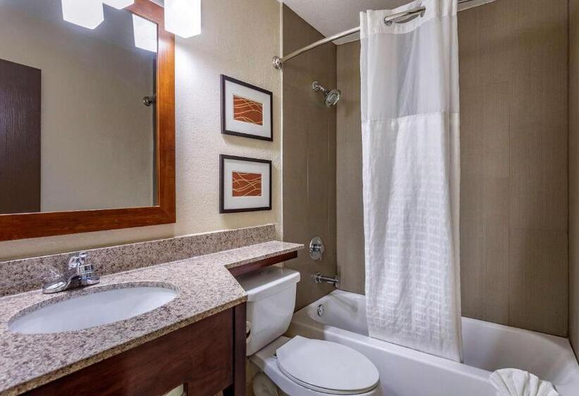 Suite, Comfort Inn Nashville West
