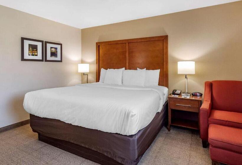 Pokój Typu Standard Przystosowany dla Osób Niepełnosprawnych, Comfort Inn Nashville West