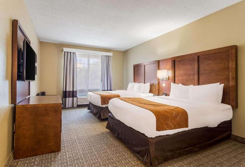 Люкс, Comfort Suites
