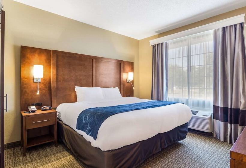 Люкс Адаптированный для Инвалидов, Comfort Suites