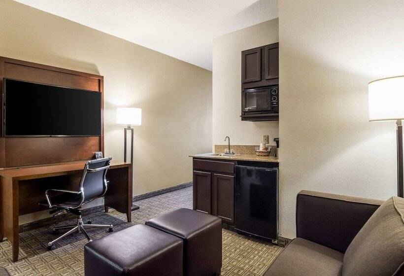 Люкс Адаптированный для Инвалидов, Comfort Suites