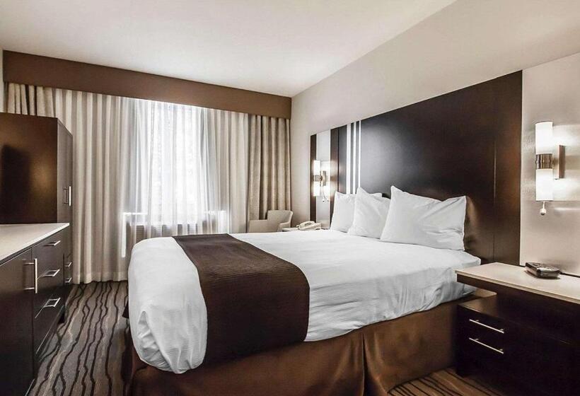 اتاق استاندارد, Quality Hotel Airport South