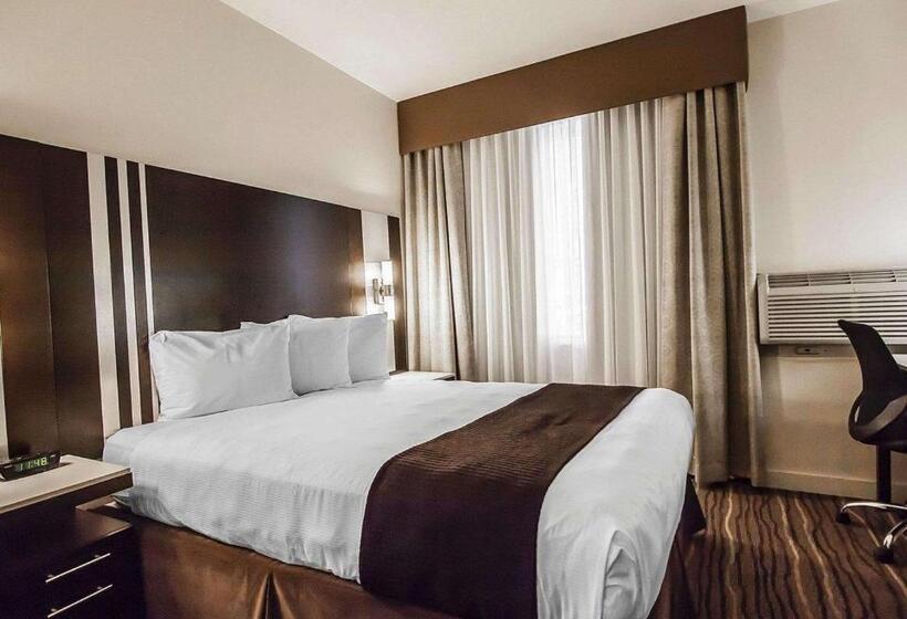 اتاق استاندارد, Quality Hotel Airport South