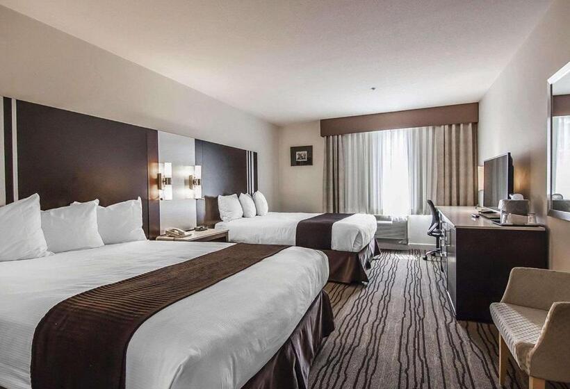 اتاق استاندارد, Quality Hotel Airport South