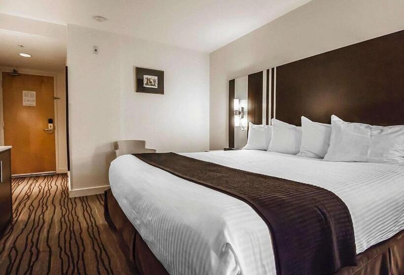 اتاق استاندارد با تخت بزرگ, Quality Hotel Airport South