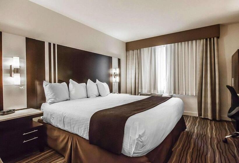 اتاق استاندارد با تخت بزرگ, Quality Hotel Airport South