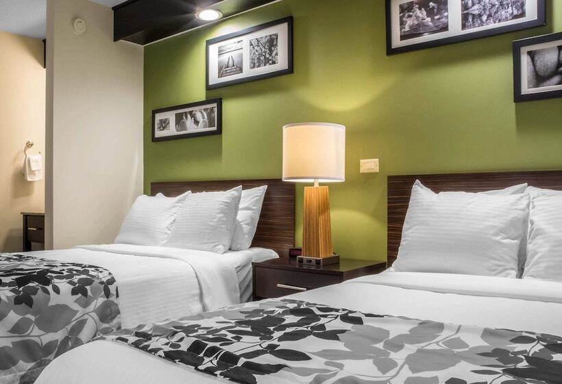 스탠다드 룸 더블 침대 2개, Sleep Inn